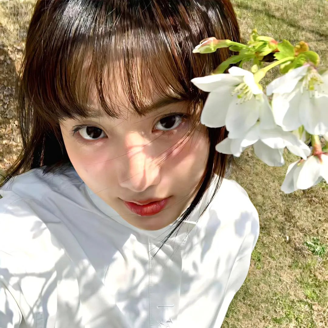 万花迎春
